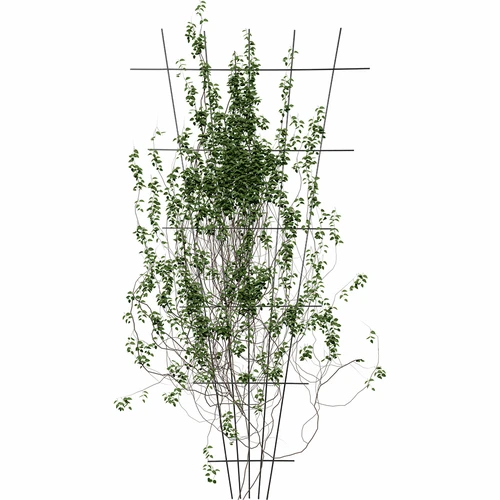 Опора за растения - решетка (150 см x 75 см) 2 броя - 3