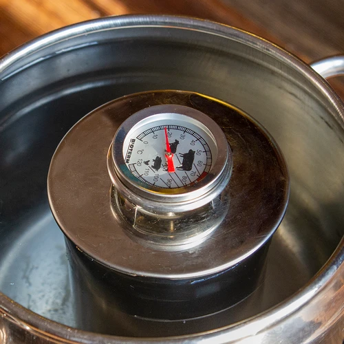 Термометър за печене на месо (0°C до +120°C) 12,5см - 12